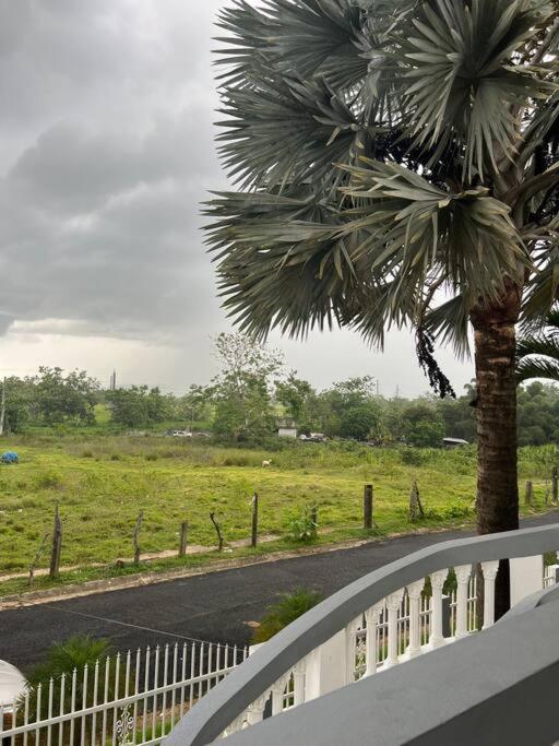 Mayaguez Spacious 3 Bedroom Villa Luaran gambar